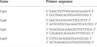 Extracellular cyclophilins A and C induce dysfunction of pancreatic microendothelial cells